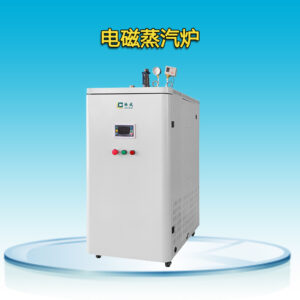 Индукционная паровая плита